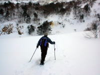 ���ʂɃC�G���[�t�H�[���������Ă����B